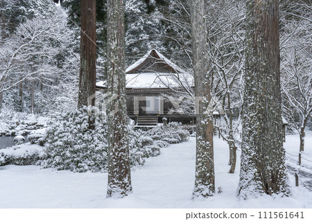 京都大原三千院 — 從大條極樂院神殿看到的雪景 京都大原三千院 — 從大條極樂院神殿看到的雪景 111561641