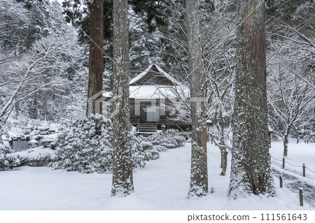 京都大原三千院 — 從大條極樂院神殿看到的雪景 京都大原三千院 — 從大條極樂院神殿看到的雪景 111561643