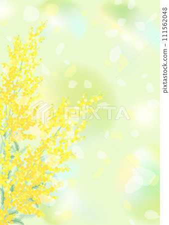Bright green background with mimosa Bright green background with mimosa 111562048