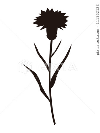一朵康乃馨（剪影） 111562128