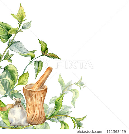 Border with medicinal herbs and wooden mortar isolated on white . Nettle stinging plant and herb sachet with dry leaves. Wooden utensil hand drawing. Element for label herbal plants, herbalism 111562459