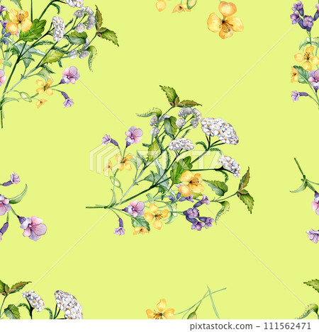 Seamless wild medicinal plant, herbs watercolor pattern isolated on yellow background. Floral pattern with millefolium, nettle, pulmonaria, celanine hand drawn. Design for label, package, textile Seamless wild medicinal plant, herbs watercolor pattern isolated on yellow background. Floral pattern with millefolium, nettle, pulmonaria, celanine hand drawn. Design for label, package, textile 111562471