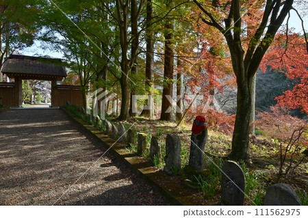 佐野市船場町正法寺金藏院紅葉參道上的三門 佐野市船場町正法寺金藏院紅葉參道上的三門 111562975