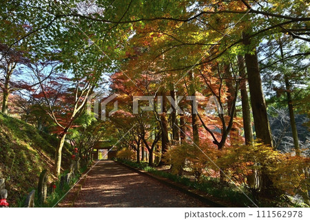 佐野市船場町正法寺金藏院紅葉參道上的三門 佐野市船場町正法寺金藏院紅葉參道上的三門 111562978