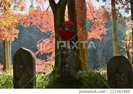 佐野市船波町正法寺金藏院的地藏菩薩紅葉走道 佐野市船波町正法寺金藏院的地藏菩薩紅葉走道 111562986