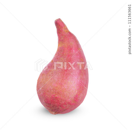Sweet potato isolated on white background. 111563661