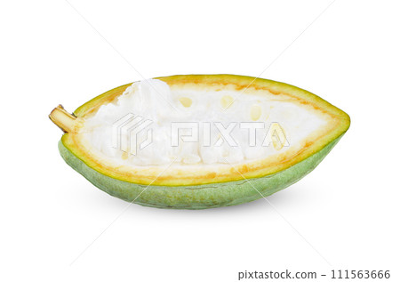 Green Cocoa isolated on white background. 111563666