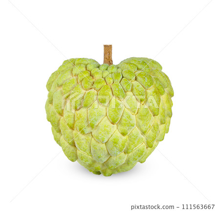 custard apple isolated on white background. custard apple isolated on white background. 111563667