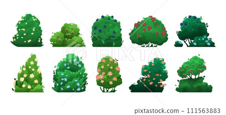 Shrubbery with flowers. Cartoon bushes with blooming plants, garden topiary of deciduous bushes with blooming flowers, bush with berries. Vector isolated set 111563883