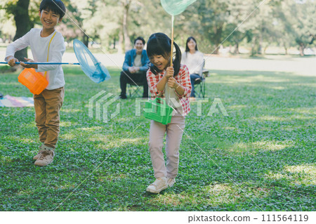 insect collecting, child, kid 111564119