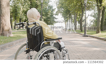 Senior woman with disability feeling pain while sitting in wheelchair, chronic health condition 111564302