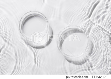 Two petri dishes on the background of water surface Two petri dishes on the background of water surface 111564650