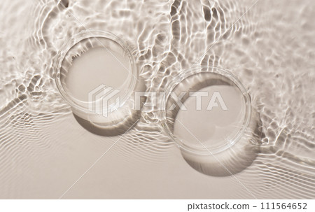 水面背景上的兩個培養皿 111564652