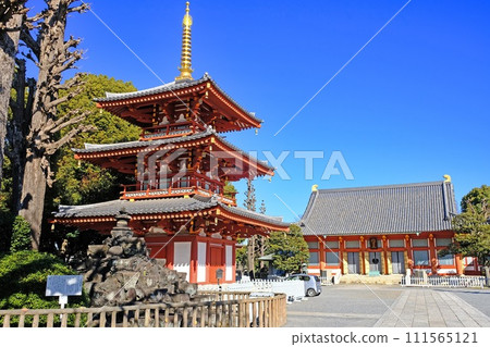 Hosen-in Temple, Nakano-ku, Tokyo, main hall and three-storied pagoda Hosen-in Temple, Nakano-ku, Tokyo, main hall and three-storied pagoda 111565121