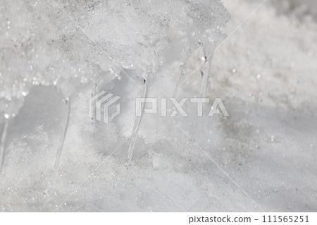 積雪下形成的冰柱 積雪下形成的冰柱 111565251