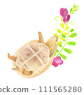 Hand-drawn illustration of a baby Greek tortoise playing with a crow Hand-drawn illustration of a baby Greek tortoise playing with a crow 111565280