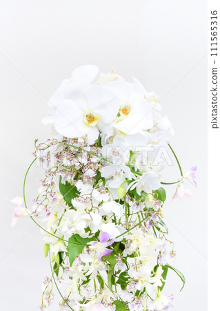 Phalaenopsis bouquet flower arrangement bridal image wedding image white background Phalaenopsis bouquet flower arrangement bridal image wedding image white background 111565316