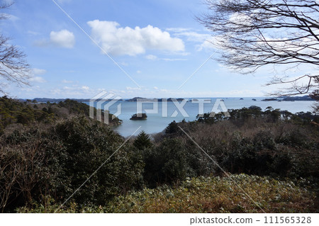 松島 松島 111565328