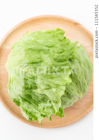 lettuce on white background 111565352