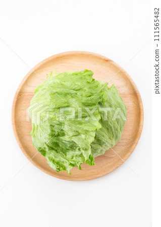 白色背景上的生菜 白色背景上的生菜 111565482