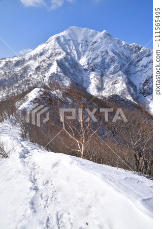 越山 越山 111565495