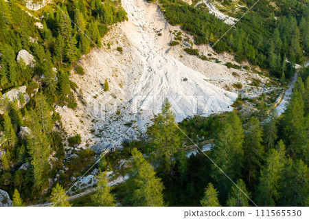 Top view on the sandy valley with high spruce trees Top view on the sandy valley with high spruce trees 111565530