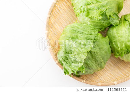 白色背景上的生菜 111565551