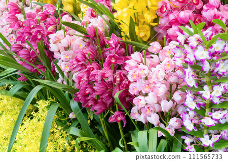 Many orchid flowers flower arrangement 111565733