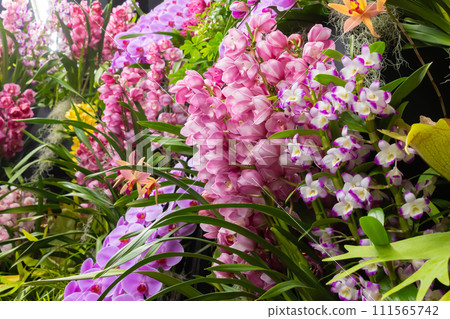 Many orchid flowers flower arrangement Many orchid flowers flower arrangement 111565742