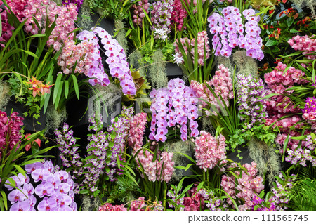 Many orchid flowers flower arrangement Many orchid flowers flower arrangement 111565745