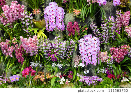Many orchid flowers flower arrangement Many orchid flowers flower arrangement 111565760