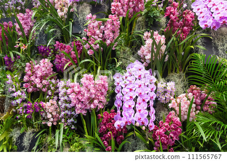 Many orchid flowers flower arrangement Many orchid flowers flower arrangement 111565767