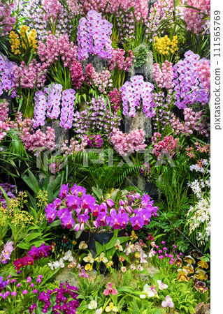 Many orchid flowers flower arrangement Many orchid flowers flower arrangement 111565769