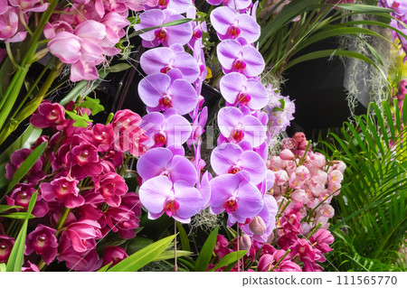 Many orchid flowers flower arrangement Many orchid flowers flower arrangement 111565770