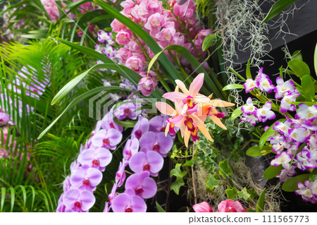 Many orchid flowers flower arrangement Many orchid flowers flower arrangement 111565773
