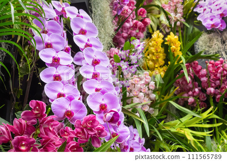 Many orchid flowers flower arrangement Many orchid flowers flower arrangement 111565789
