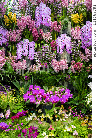 Many orchid flowers flower arrangement 111565792