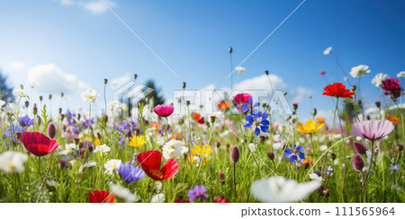 AI-generated content. Blossoming Beauty: A Colorful Meadow of Wildflowers Under the Blue Sky AI-generated content. Blossoming Beauty: A Colorful Meadow of Wildflowers Under the Blue Sky 111565964