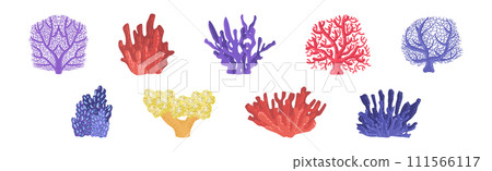Colorful Reef Coral and Marine Hydranths Vector Set 111566117