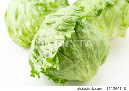 lettuce on white background lettuce on white background 111566148