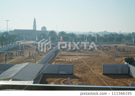 Camel race_Dubai Camel race_Dubai 111566195