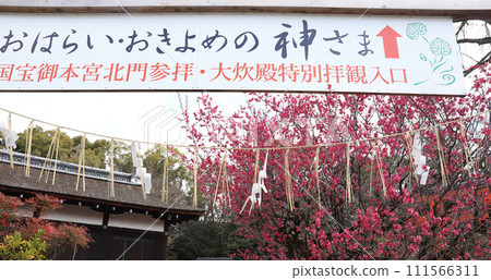 下鴨神社 加茂水神社 京都 111566311