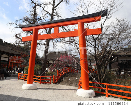 下鴨神社 加茂水神社 京都 下鴨神社 加茂水神社 京都 111566314