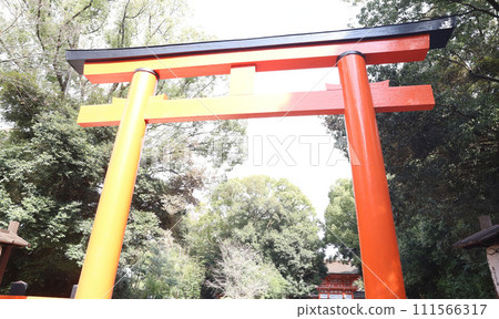 下鴨神社 加茂水神社 京都 111566317