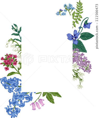 Wedding invitation with spring and summer garden flowers. Botanical illustration. Colorful. Engraving style. Wedding invitation with spring and summer garden flowers. Botanical illustration. Colorful. Engraving style. 111566473