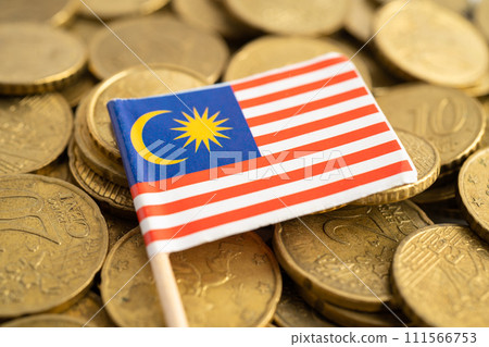 Malaysia flag on coins money, finance and accounting, banking concept. Malaysia flag on coins money, finance and accounting, banking concept. 111566753
