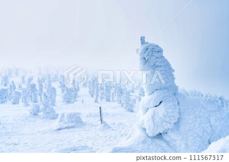 山形縣山形市山形藏王的霜凍樹木 111567317