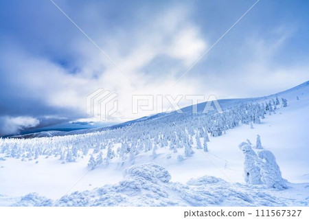 山形縣山形市山形藏王的霜凍樹木 111567327