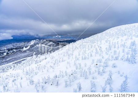 Frost-covered trees in Yamagata Zao, Yamagata City, Yamagata Prefecture Frost-covered trees in Yamagata Zao, Yamagata City, Yamagata Prefecture 111567349