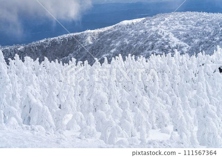 山形縣山形市山形藏王的霜凍樹木 111567364